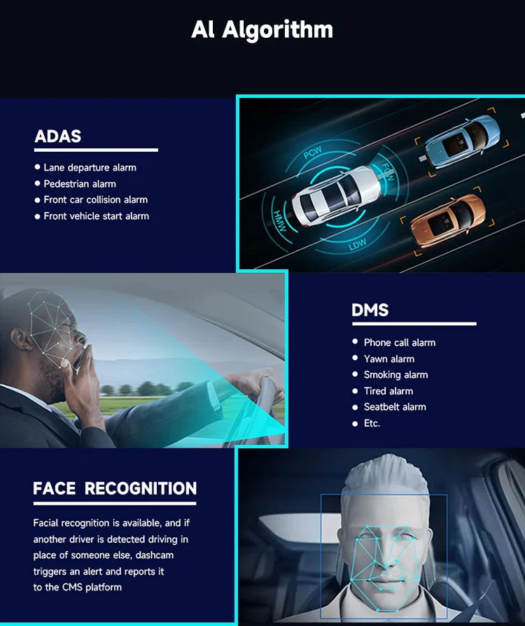 AI Detection AI Detection
